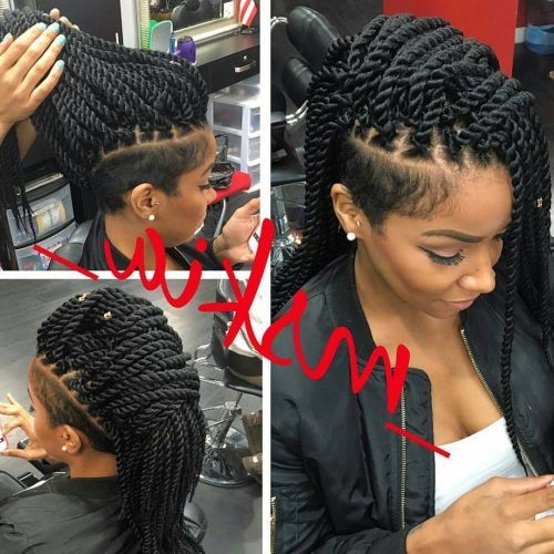 Side Braided Curly Mohawk Hairstyles (Photo 1 of 20)