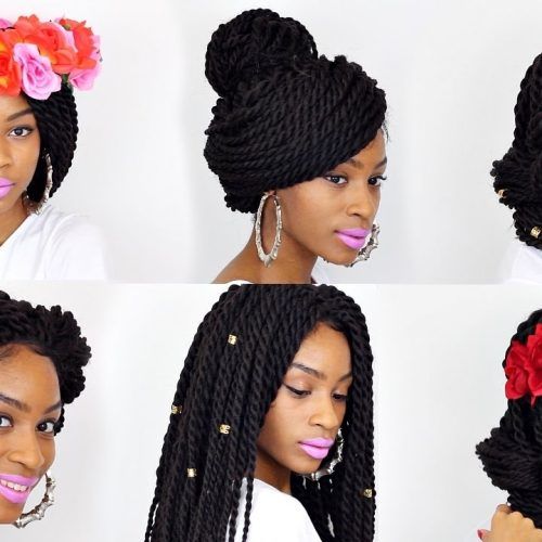 Wigs Braided Hairstyles (Photo 3 of 15)