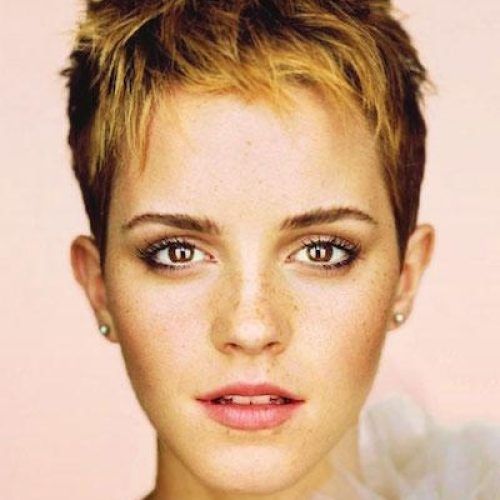 Easy Pixie Haircuts (Photo 11 of 20)