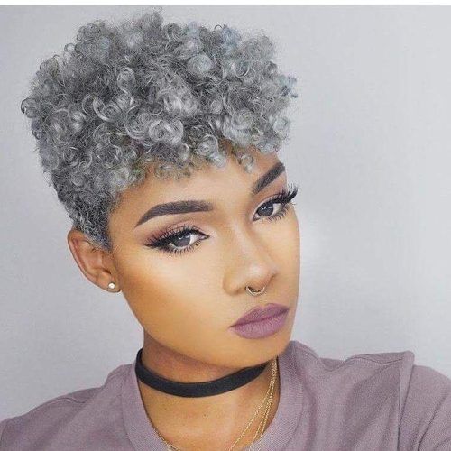 Short Hairstyles For Black Women With Gray Hair (Photo 3 of 20)
