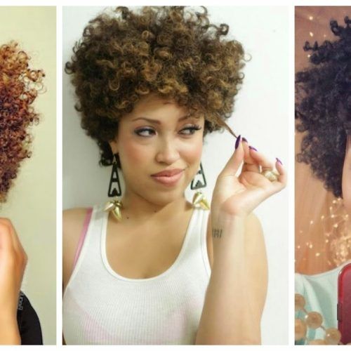 Curly Black Tapered Pixie Hairstyles (Photo 10 of 20)