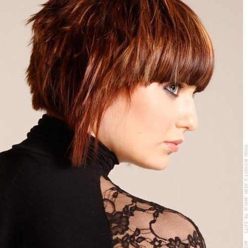 Short Hairstyles For Straight Thick Hair (Photo 4 of 20)