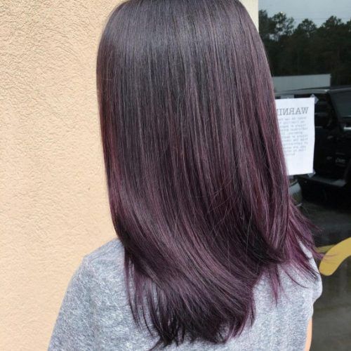 Short Hair Hairstyles With Blueberry Balayage (Photo 9 of 20)