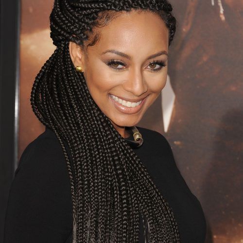 Mixed Braid Updo For Black Hair (Photo 10 of 15)