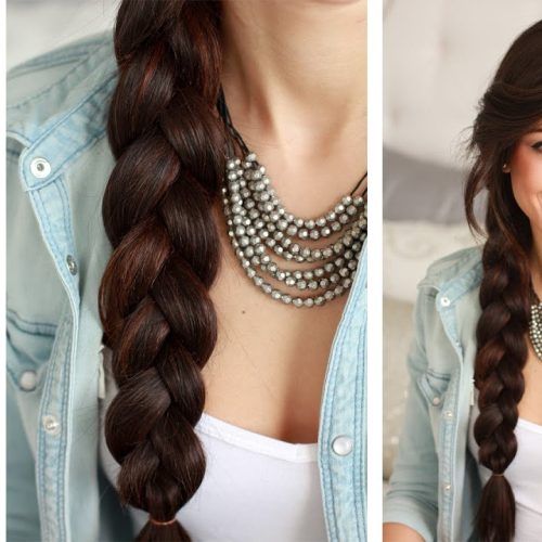 Side Rope Braid Hairstyles For Long Hair (Photo 13 of 20)