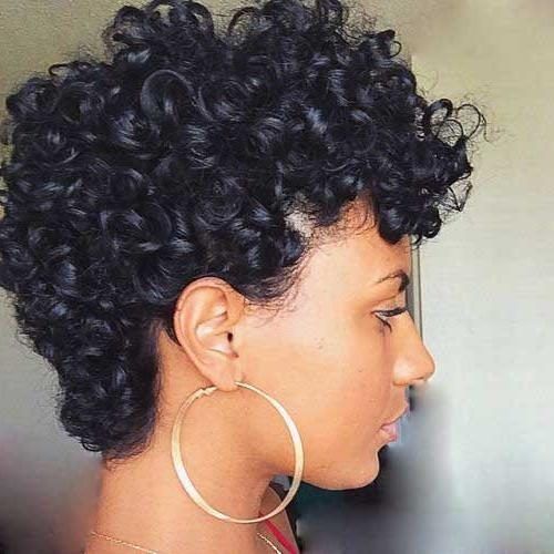 Naturally Curly Short Hairstyles (Photo 10 of 20)