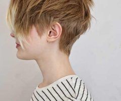 20 Inspirations Pixie Layered Short Haircuts