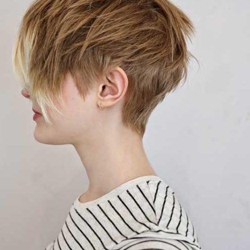 Pixie Layered Short Haircuts (Photo 1 of 20)