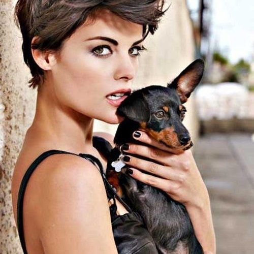 Short Trendy Hairstyles For Women (Photo 13 of 15)