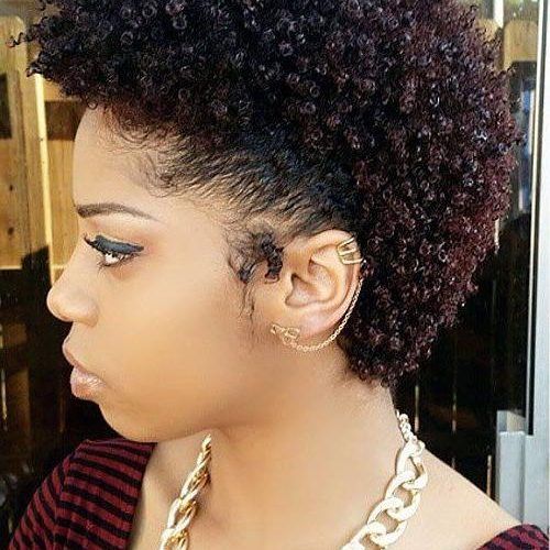 Short Hairstyles For Afro Hair (Photo 11 of 20)