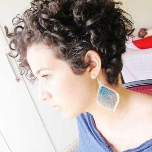 Curly Hair Short Hairstyles (Photo 6 of 20)
