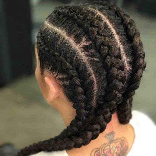 Defined French Braid Hairstyles (Photo 6 of 20)