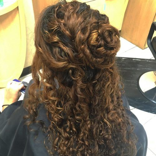 Half Up Curly Hairstyles With Highlights (Photo 20 of 20)