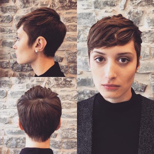 Long Curly Pixie Haircuts With Subtle Highlights (Photo 8 of 20)