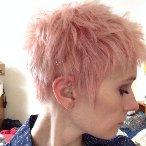 Pink Pixie Haircuts (Photo 8 of 20)