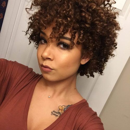 Cute Curly Pixie Hairstyles (Photo 9 of 20)