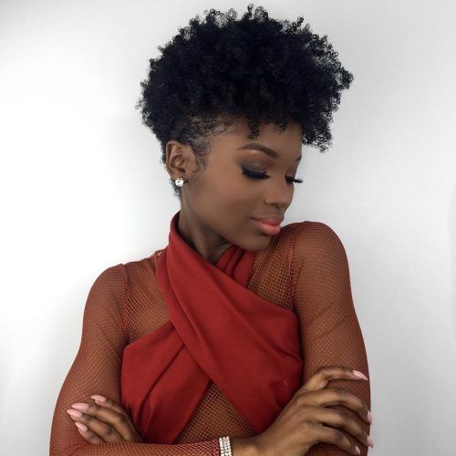 Curly Black Tapered Pixie Hairstyles (Photo 19 of 20)