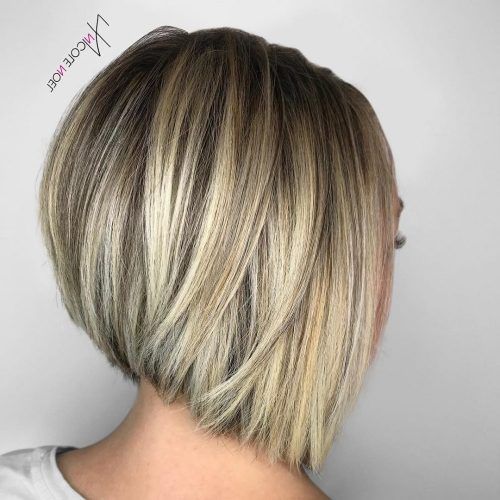 Messy Shaggy Inverted Bob Hairstyles With Subtle Highlights (Photo 9 of 20)
