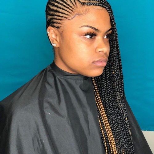 Cornrow Ombre Ponytail Micro Braid Hairstyles (Photo 2 of 20)