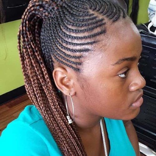 Shaved Platinum Hairstyles With Micro Braids (Photo 15 of 20)