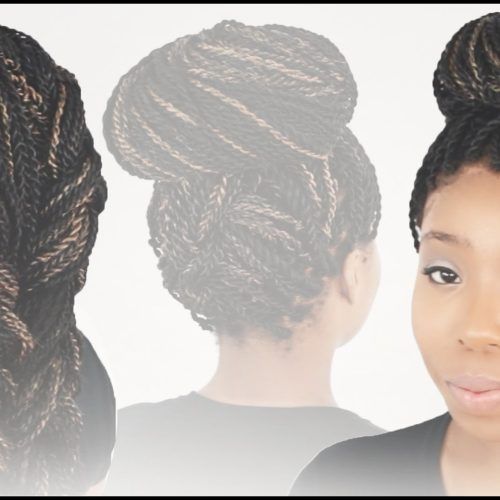 Senegalese Twist Styles Updo Hairstyles (Photo 9 of 15)