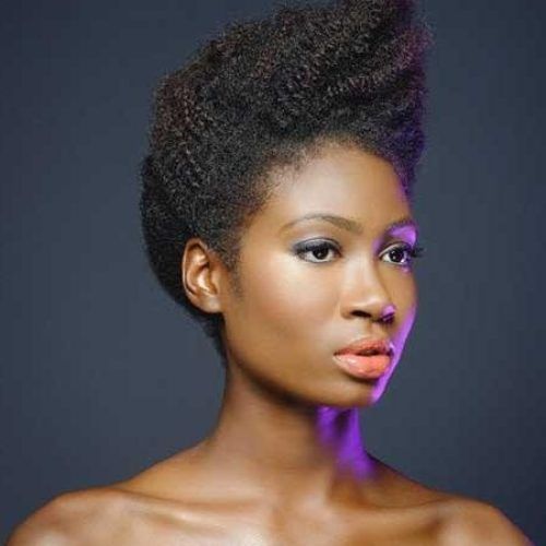 Short Hairstyles For Afro Hair (Photo 2 of 20)