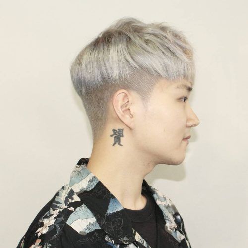 Cool Silver Asian Hairstyles (Photo 7 of 20)