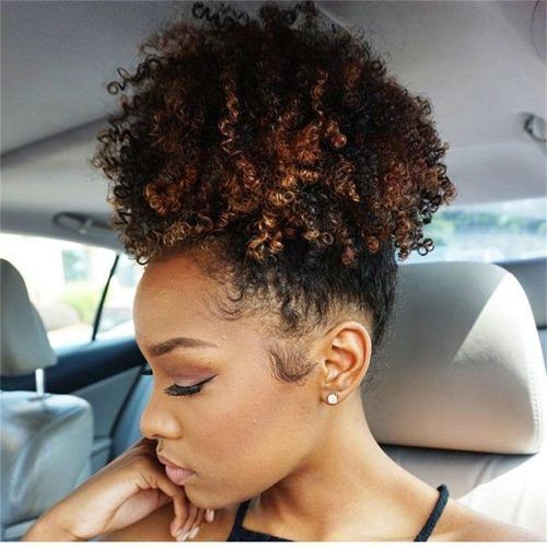 High Curly Black Ponytail Hairstyles (Photo 14 of 20)