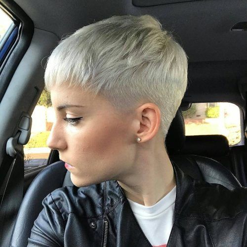 Funky Pixie Undercut Hairstyles (Photo 20 of 20)