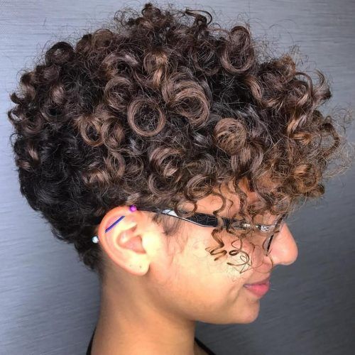 Tapered Brown Pixie Hairstyles With Ginger Curls (Photo 3 of 20)