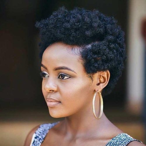 Black Women Natural Short Haircuts (Photo 12 of 20)