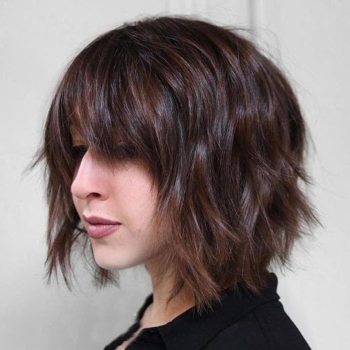 Layered Bob Hairstyles For Fine Hair (Photo 19 of 20)