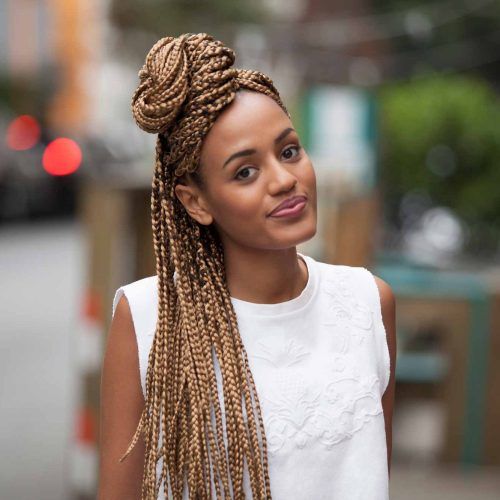 Back And Forth Skinny Braided Hairstyles (Photo 8 of 20)