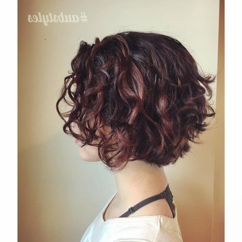 Short Bob For Curly Hairstyles (Photo 3 of 20)
