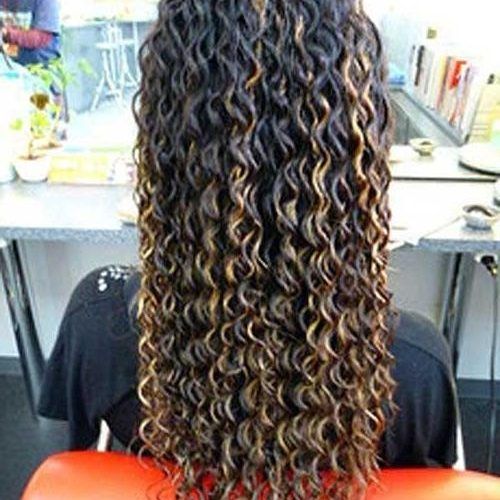 Long Hairstyles Permed Hair (Photo 1 of 15)