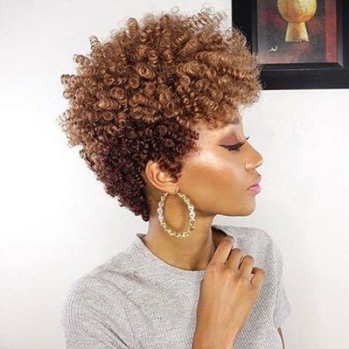 Curly Short Hairstyles Black Women (Photo 15 of 20)