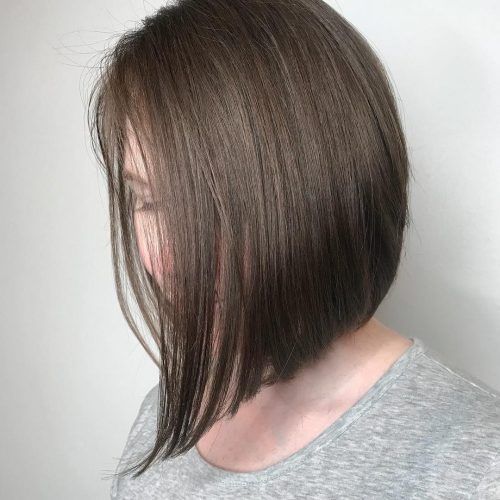Neat Short Rounded Bob Hairstyles For Straight Hair (Photo 4 of 20)
