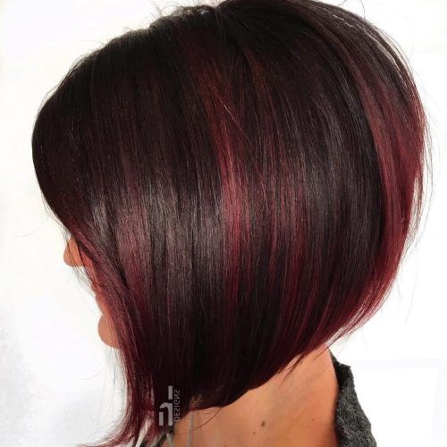 Neat Short Rounded Bob Hairstyles For Straight Hair (Photo 3 of 20)