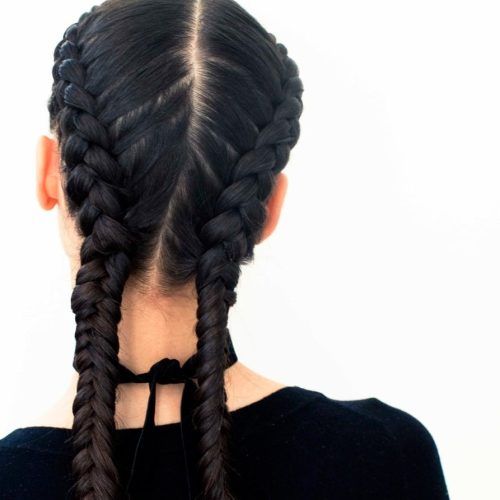 Two Braids In One Hairstyles (Photo 9 of 20)