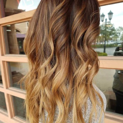 Warm-Toned Brown Hairstyles With Caramel Balayage (Photo 7 of 20)