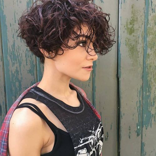Tapered Brown Pixie Hairstyles With Ginger Curls (Photo 18 of 20)