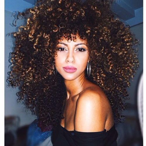 Big, Natural Curls Hairstyles (Photo 10 of 20)