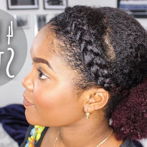 Quick Braided Hairstyles For Natural Hair (Photo 4 of 15)