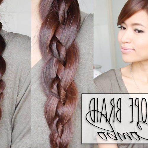 Pony And Dutch Braid Combo Hairstyles (Photo 13 of 20)