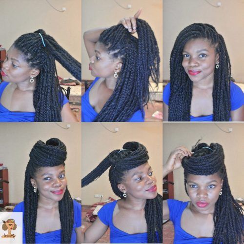 Braided And Wrapped Hairstyles (Photo 12 of 20)