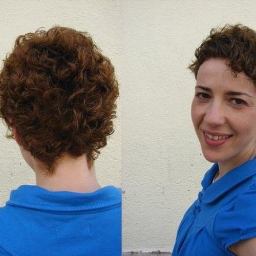 Short Haircuts For Very Curly Hair (Photo 8 of 20)