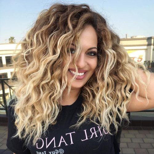 Curls And Blonde Highlights Hairstyles (Photo 1 of 20)