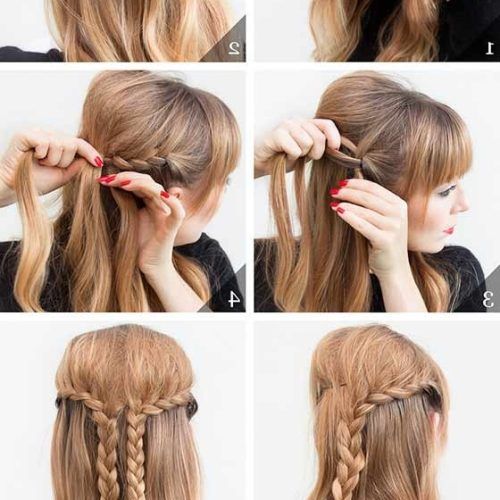 Braid Hairstyles For Long Hair (Photo 9 of 15)