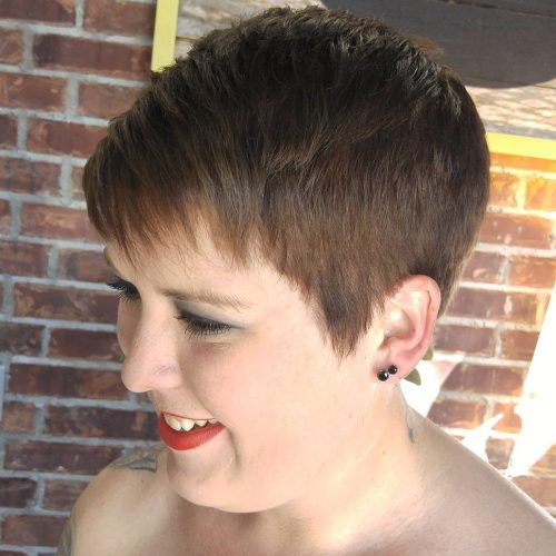 Color Highlights Short Hairstyles For Round Face Types (Photo 15 of 20)