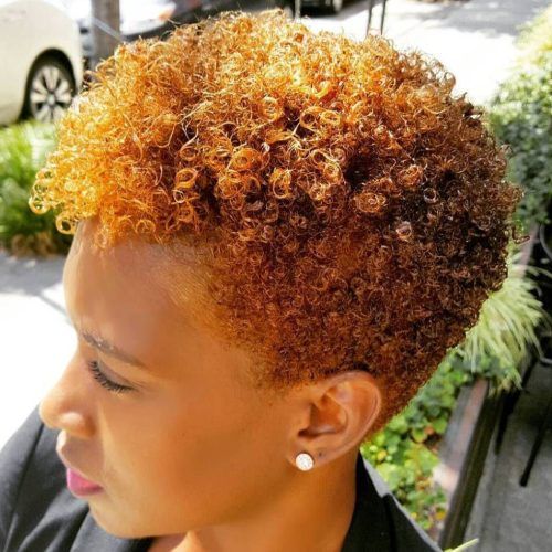 Curly Golden Brown Pixie Hairstyles (Photo 14 of 20)